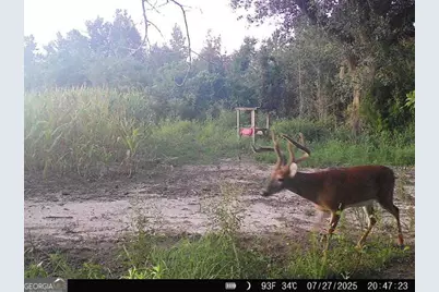 3625 Sylvester Highway, Albany, GA 31705 - Photo 3