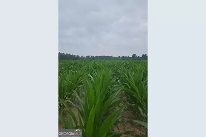 3625 Sylvester Highway, Albany, GA 31705 - Photo 7