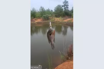 3625 Sylvester Highway, Albany, GA 31705 - Photo 5