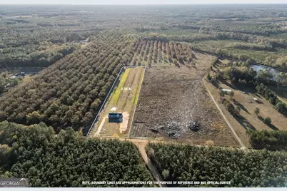 796 Lud Oquinn Road, Odum, GA 31555 - Photo 3