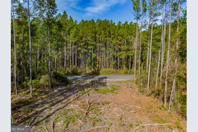 58 Magnolia Plantation, White Oak, GA 31568 - Photo 9