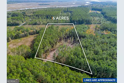 58 Magnolia Plantation, White Oak, GA 31568 - Photo 1