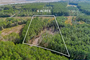 58 Magnolia Plantation, White Oak, GA 31568 - Photo 1