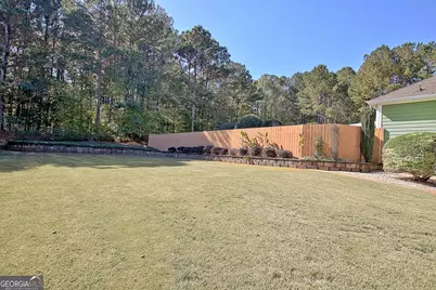 25 Carriage Lane, Senoia, GA 30276 - Photo 65