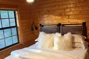 348 Cherry Lake Drive, Blue Ridge, GA 30513 - Photo 11