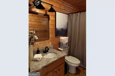 348 Cherry Lake Drive, Blue Ridge, GA 30513 - Photo 15