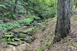 2146 Bend N Hickory Rd, Toccoa, GA 30577 - Photo 35