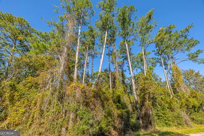 133 Helmich Drive, Brunswick, GA 31525 - Photo 7