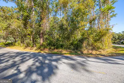 133 Helmich Drive, Brunswick, GA 31525 - Photo 11