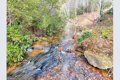 7829 Dillard Road, Scaly Mtn, NC 28775 - Photo 85
