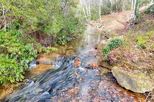 7829 Dillard Rd, Scaly Mtn, NC 28775 - Photo 85