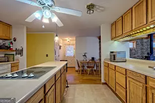 7829 Dillard Rd, Scaly Mtn, NC 28775 - Photo 17