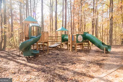320 Dalston Way, Peachtree City, GA 30269 - Photo 71