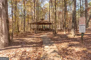 320 Dalston Way, Peachtree City, GA 30269 - Photo 69