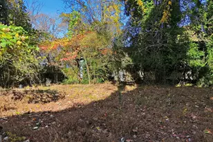 133 Blue Ridge Ave, Demorest, GA 30535 - Photo 9