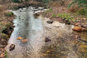 60 Bailey Creek Dr, Blue Ridge, GA 30513 - Photo 5