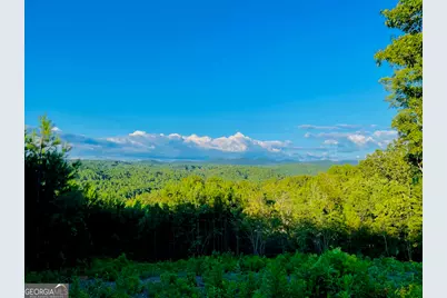 655 Lookout Valley Trail, Talking Rock, GA 30175 - Photo 5