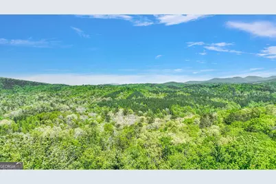 655 Lookout Valley Trail, Talking Rock, GA 30175 - Photo 3