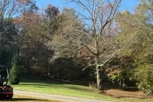 22 Orange Ln, McCaysville, GA 30555 - Photo 63