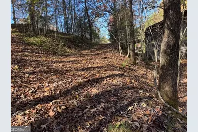 22 Orange Lane, McCaysville, GA 30555 - Photo 101