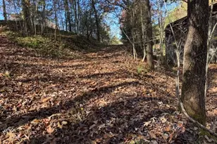 22 Orange Ln, McCaysville, GA 30555 - Photo 101