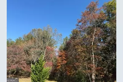 22 Orange Lane, McCaysville, GA 30555 - Photo 93