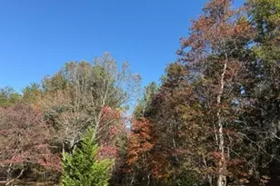 22 Orange Ln, McCaysville, GA 30555 - Photo 93