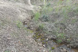 530 Grandview Ave, Mount Airy, GA 30563 - Photo 5