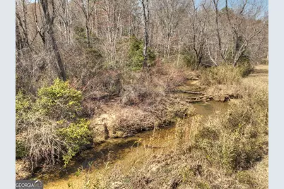 48.4Ac Lofty Heights, Mineral Bluff, GA 30559 - Photo 17