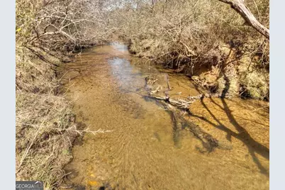 48.4Ac Lofty Heights, Mineral Bluff, GA 30559 - Photo 37