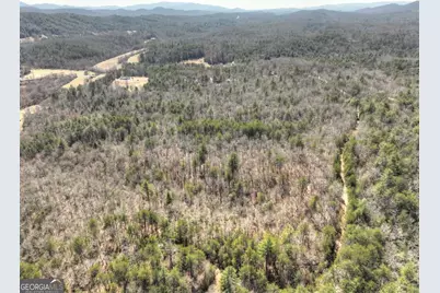 48.4Ac Lofty Heights, Mineral Bluff, GA 30559 - Photo 11
