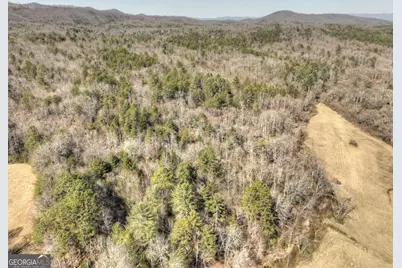 48.4Ac Lofty Heights, Mineral Bluff, GA 30559 - Photo 19