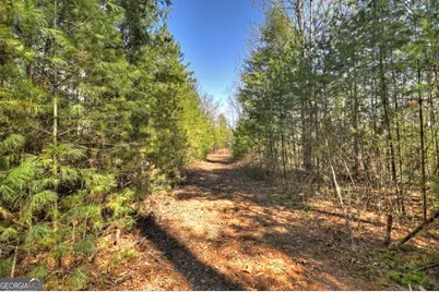 48.4Ac Lofty Heights, Mineral Bluff, GA 30559 - Photo 3