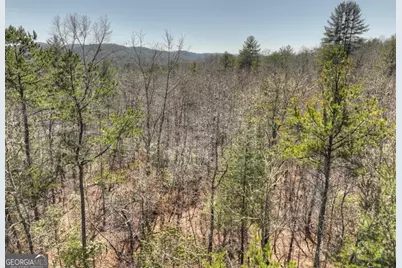 48.4Ac Lofty Heights, Mineral Bluff, GA 30559 - Photo 31
