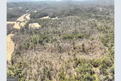48.4Ac Lofty Heights, Mineral Bluff, GA 30559 - Photo 15