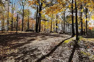 22 Ilene Dr, Cleveland, GA 30528 - Photo 15