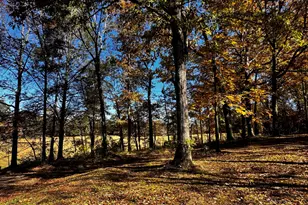 22 Ilene Dr, Cleveland, GA 30528 - Photo 13