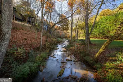 60 Ford Road #14, Blue Ridge, GA 30513 - Photo 53