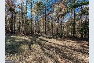 0 Highway 16 E, Monticello, GA 31064 - Photo 3