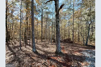 0 Highway 16 E, Monticello, GA 31064 - Photo 7