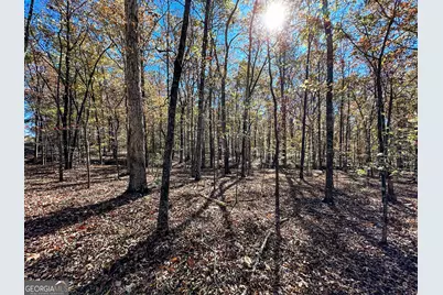 0 Highway 16 E, Monticello, GA 31064 - Photo 17