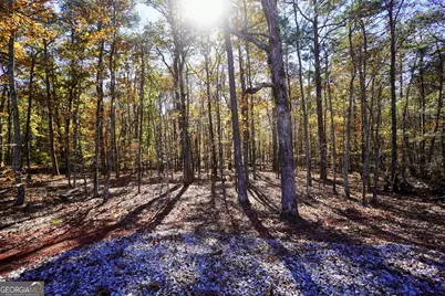0 Highway 16 E, Monticello, GA 31064 - Photo 11