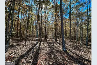 0 Highway 16 E, Monticello, GA 31064 - Photo 13