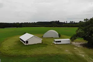 273 McDonald Rd, Sylvania, GA 30467 - Photo 9