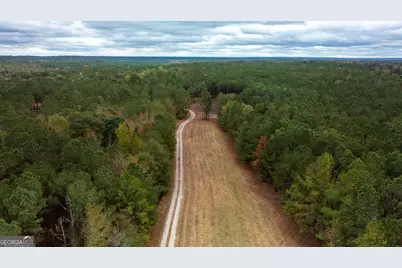 1231 Lanier Road, White Plains, GA 30678 - Photo 5