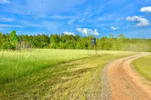 47 Southgate Ln, Hawkinsville, GA 31036 - Photo 13