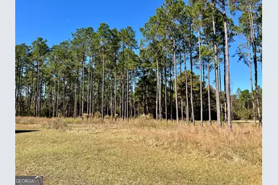 47 Southgate Lane, Hawkinsville, GA 31036 - Photo 7