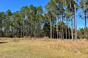 47 Southgate Ln, Hawkinsville, GA 31036 - Photo 7