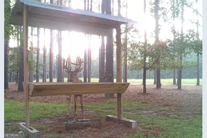 47 Southgate Lane, Hawkinsville, GA 31036 - Photo 61