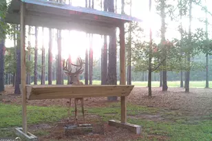 47 Southgate Ln, Hawkinsville, GA 31036 - Photo 61